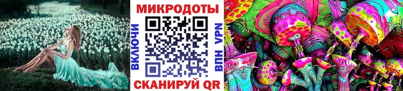 Псилоцибиновые грибы Psilocybine cubensis Анжеро-Судженск